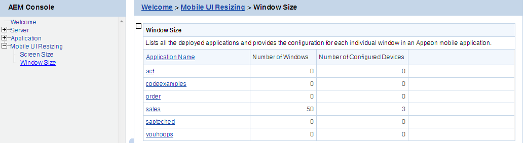 Window size