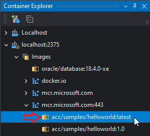 New tag visible in Container Explorer