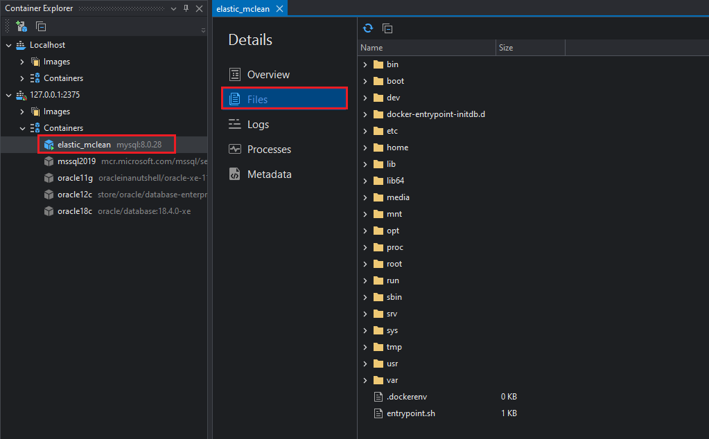 View a Container's Filesystem