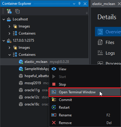 Open Terminal Window to a Container